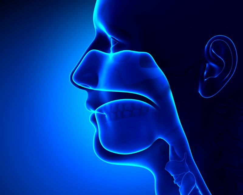 ear nose throat and upper respiratory health